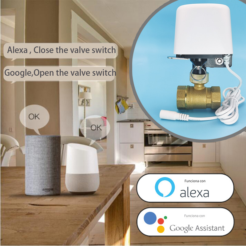 Válvula de agua Tuya Zigbee Wi - Home Assistant Tuya reseña y precio